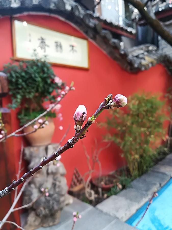 Lijiang Buwuzhai Inn Ngoại thất bức ảnh