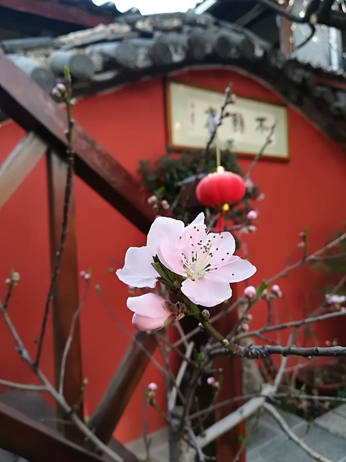 Lijiang Buwuzhai Inn Ngoại thất bức ảnh